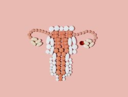 Uji Ovarium, Bukan Tikus: Terobosan Baru untuk Mempercepat Penelitian Anti-Penuaan