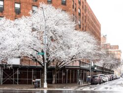 12 Kota di Amerika Serikat dengan Penawaran Apartemen Murah saat Pasar Sewa Mendingin menjelang Musim Dingin