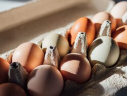 Telur Organik di 25 Toko Costco Ditarik Kembali Karena Risiko Salmonella
