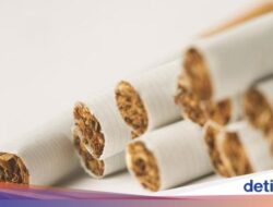 Siap-siap! Bea Cukai Mau Umumkan Kenaikan Harga Jual Eceran Rokok