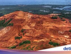 Tambang Mineral-Batu Bara Jadi Andalan RI, Sumbang Rp 2.198 T