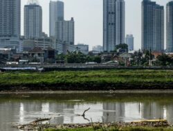 Magnates Indonesia Membangun Kota Baru: Pelabuhan, Taman Hiburan, dan Sirkuit F1 dalam Satu Kota!