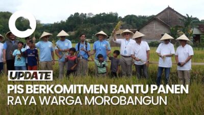 Video: Komitmen PIS Bantu Panen Raya Warga Morobangun hingga Tahun 2025