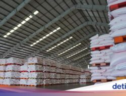 Pabrik Pupuk Rp 25 Triliun Bakal Dibangun di Papua