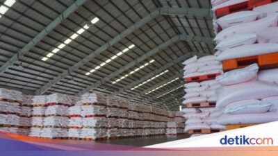 Pabrik Pupuk Rp 25 Triliun Bakal Dibangun di Papua