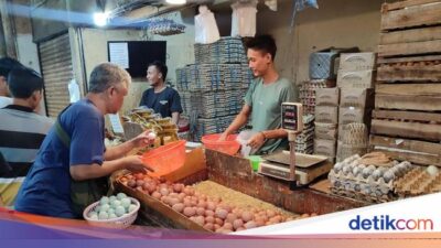 Pedagang Yakin Harga Telur Ayam Naik Terus sampai Tembus Rp 33 Ribu/Kg
