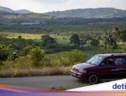 Raksasa Produsen Kaca China Mau Masuk Rempang, tapi Terganjal Lahan