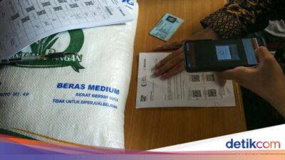 Siap-siap! 16 Juta Keluarga Bakal Terima Bansos Beras Bulan Depan
