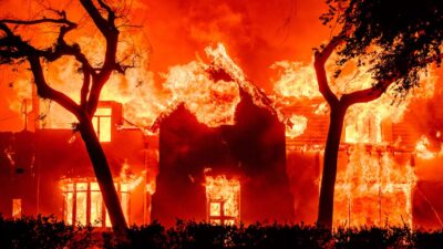 Rahasia Insurer untuk Mengatasi Kebakaran Hutan: Strategi Terselubung dalam Menghadapi Bahaya Api