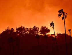 Menjaga Rutinitas dan Keamanan: Evakuasi dari Los Angeles bersama Keluarga