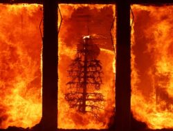 Api Neraka: Kebakaran Hutan Paling Mengerikan dalam Sejarah Baru Amerika Serikat