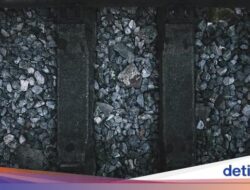 Batu Bara Indonesia Tetap Seksi Meski Hadapi Coal Phase-out