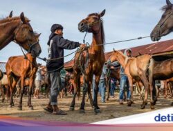 Geliat Pasar Kuda di Jeneponto