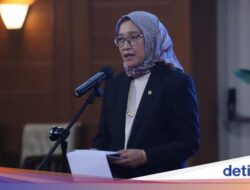 ASN Pindah ke IKN Dikabarkan Molor Gegara Potong Anggaran, Menteri PANRB Buka Suara