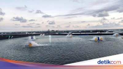 Tambak Sepanjang Pantura Mau Dipugar, Ini Rincian Wilayahnya