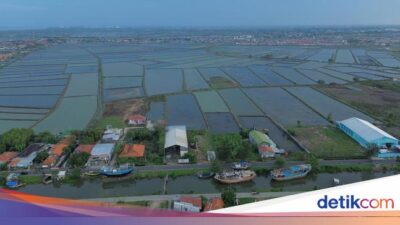 Potret Tambak Mati yang Mau Disulap Jadi Pabrik